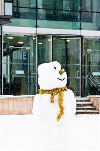 412_Snowman_Lifestyle & Culture_Hull_Jan10.jpg